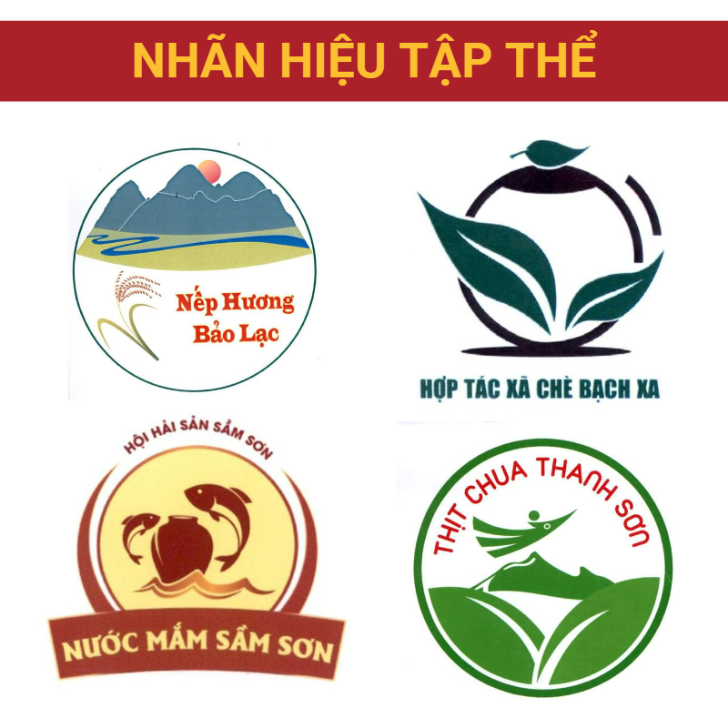 Nhan Hieu Tap The Web