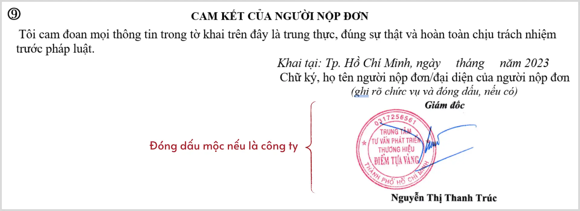 cam kết của người nộp đơn